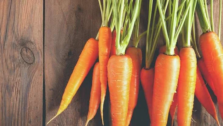 Several men's Health Benefits Can Be Derived From Carrots